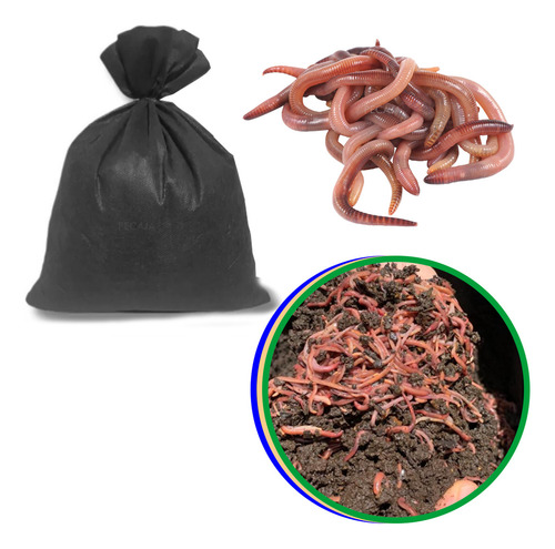100 Minhocas Californianas Com Manual De Compostagem