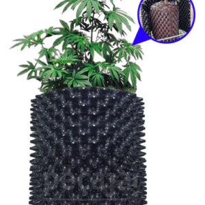 Vaso Airpot Raiz Forte 50 Litros Grow Cultivo Indoor Outdoor