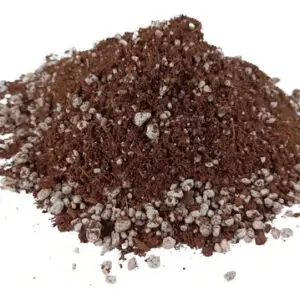 Substrato Para Cultivo Indoor Turfa E Perlita 10 Litros Grow