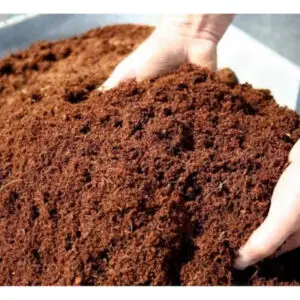 Fibra De Coco Granulada Lavada Substrato Semeadura Muda 10 L