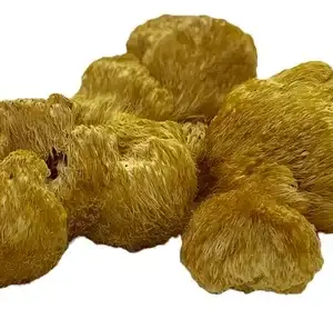 Cogumelo Juba De Leão Desidratado 5g - Hericium Erinaceus